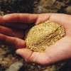 Златодобивът не замърсявал природата