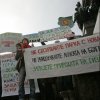 Десетки еколози протестираха в София