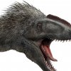 Yutyrannus huali