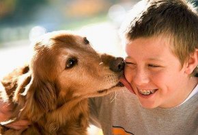 Be Kind To Animals Week