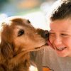Be Kind To Animals Week