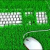 Зеленото работно пространство е хит