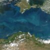 Голяма е вероятността за находище на нефт и газ в Черно море