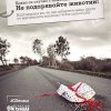 Четири лапи апелира: Не подарявайте животни за Коледа