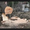 Германската централа на Кауфланд сезирана за сечта