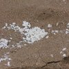 Южното Черноморие замърсено с неизвестно вещество