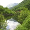 Приоритетно започва усвояването на изсъхналата дървесина в горите