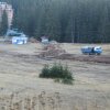 Цветелина Бориславова започна сеч в Пампорово, Зелените мълчат