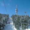Земеделското министерство потвърди, че „Пампорово“ АД не плаща наем за ползваните държавни земи и гори