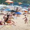 Слънцезащитните кремове тровят морската екосистема