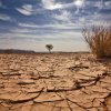 Недостигът на вода в света след 15 години ще е над 40%
