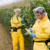 ЕК изяснява новите правила за внос на ГМО продукти