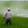 САЩ трупа съдебни дела заради рак, причинен от глифозата