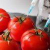 Турски и полски домати сеят зарази у нас