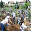 Витоша става дом на втората гора на Моят зелен град