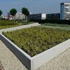 Ще дават бонус квадратура за зелен покрив