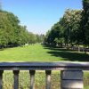 Магистър-фармацевти ще засадят 10 дъбови дървета в Борисовата градина