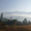 Пожарът в Кресненското дефиле вилнее по трасето на бъдещата АМ Струма