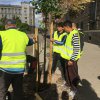 Засаждат 126 500 дървета в София