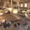Търговец на кучета отглежда близо 300 в едно помещение
