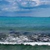 Рибата изчезва от Черно море