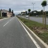 Засадиха 230 фиданки покрай Околовръстното шосе