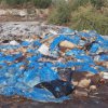 Незаконно изхвърлени животински отпадъци