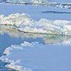 Арктическият лед достигна своя минимум