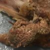 Жена откри суров мозък в менюто си от KFC