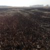 Източиха Шабленското езеро, наводнявало резиденцията на властта