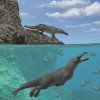    Откриха фосили от четирикрак кит 