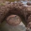 Рибари откриха броня на 10 000-годишен глиптодон
