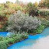 Водите на река Русенски Лом се оцветиха в електриково синьо