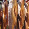 500 кг заразена с листерия румънска риба е достигнала българския пазар
