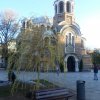 Нова на мястото на старата върба пред Св. Седмочисленици