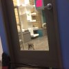 Изолираха котарак, организирал бягства от приют за животни