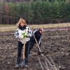    82 000 вече са фиданките в новата гора на София, кметът сади, спасители и еколози – не
