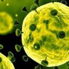Моделът Корона и защо сме в добрата периферия