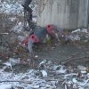 10 дни ще чистят плаващото сметище край Своге