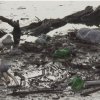 Плаващо сметище и покрай бреговете на яз. Кърджали