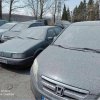 Заради замърсяването от ТЕЦ Бобов дол гълъбите падат мъртви