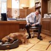 Министър-председателят на Гърция осинови бездомно куче 