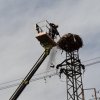 Възстановиха гнездо на щъркели в с. Мировяне 