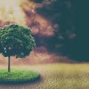 Въздействието върху изменението на климата може да се окаже необратимо: ООН 