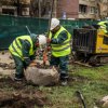 В София засадиха 120 дървета през изминалата седмица 