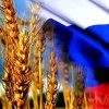 Пшеница