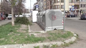 Мъртви делфини в кофа