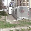 Мъртви делфини в кофа