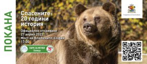 Мечки