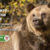 Мечки